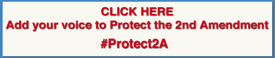 Protect the 2nd Amendment